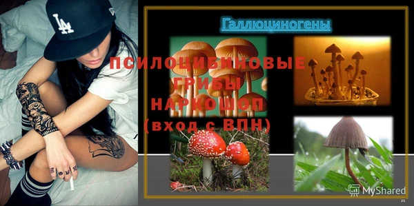 Альфа ПВП Богданович